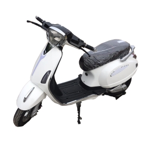 Bình ắc quy xe máy điện LTP Bike Vespa chính hãng