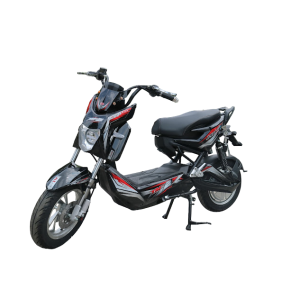 Bình ắc quy xe máy điện LTP Bike Xmen 2 chính hãng