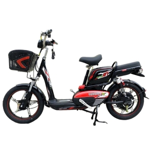 Bình ắc quy xe đạp điện TH CEO Luxury Eco 01 chính hãng