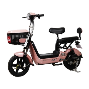 Bình ắc quy xe đạp điện Lixi Trái Nho chính hãng