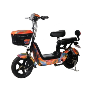 Bình ắc quy xe đạp điện Lixi Trái Nho Plus chính hãng