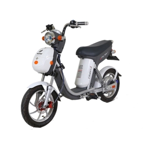 Bình ắc quy xe đạp điện NijiaS chính hãng