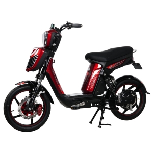 Bình ắc quy xe đạp điện Osakar Alpha chính hãng
