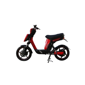 Bình ắc quy xe đạp điện Pega Cap A9 chính hãng