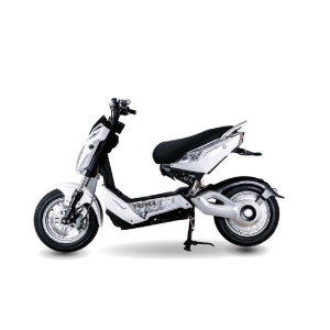 Bình ắc quy xe máy điện Pega Trans chính hãng