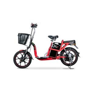 Bình ắc quy xe đạp điện Pega Zinger 9 chính hãng