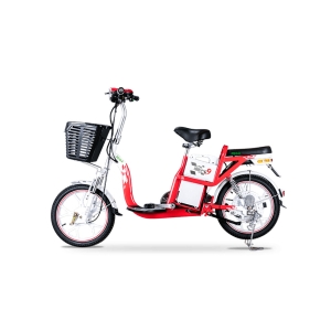 Bình ắc quy xe đạp điện Pega Zinger Color 9 chính hãng