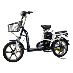 Bình ắc quy xe đạp điện Terra Motors Pride Plus 2019 chính hãng