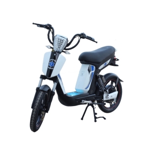 Bình ắc quy xe đạp điện Pop Teen Terra Motors chính hãng