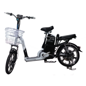 Bình ắc quy xe đạp điện Pride Terra Motors chính hãng