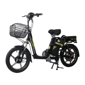 Bình ắc quy xe đạp điện EV S1 chính hãng