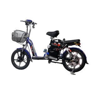 Bình ắc quy xe đạp điện EV S2 chính hãng