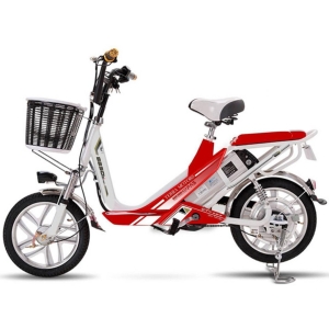 Bình ắc quy xe đạp điện Terra Motors S250 chính hãng