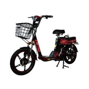 Bình ắc quy xe đạp điện EV S3 chính hãng