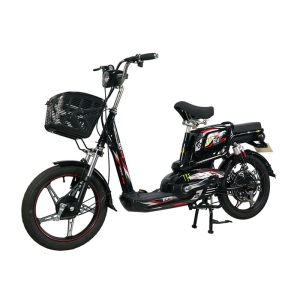 Bình ắc quy xe đạp điện EV S5 chính hãng