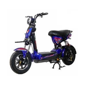 Bình ắc quy xe đạp điện EV S8 chính hãng