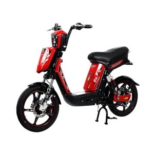 Bình ắc quy xe đạp điện EV S9 chính hãng