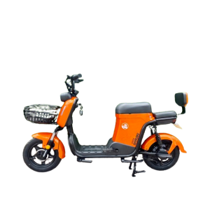 Bình ắc quy xe đạp điện Sarune S6 chính hãng