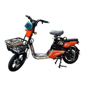 Bình ắc quy xe đạp điện Sarune S9 chính hãng