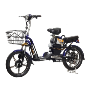 Bình ắc quy xe đạp điện Sufat SF5 chính hãng