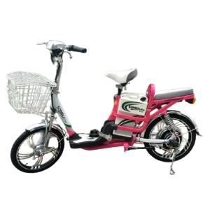 Bình ắc quy xe đạp điện Sonsu Sport chính hãng