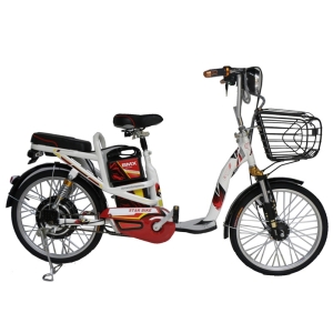 Bình ắc quy xe đạp điện Bmx Star 22inch chính hãng