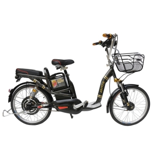 Bình ắc quy xe đạp điện Bmx Star 22inch Carbon chính hãng