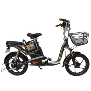 Bình ắc quy xe đạp điện Bmx Star Carbon chính hãng