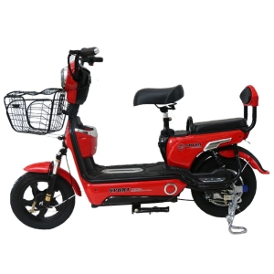 Bình ắc quy xe đạp điện Bmx Super Sport chính hãng