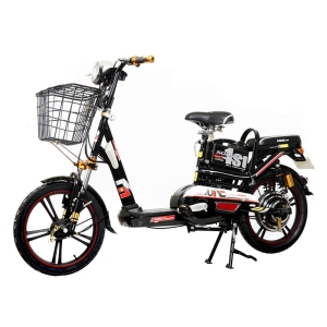 Bình ắc quy xe đạp điện Sonsu Supper 18inch chính hãng