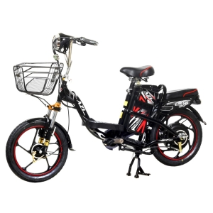 Bình ắc quy xe đạp điện Bmx Swan 18inch chính hãng