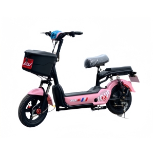 Bình ắc quy xe đạp điện Lixi Trái Táo Pro chính hãng