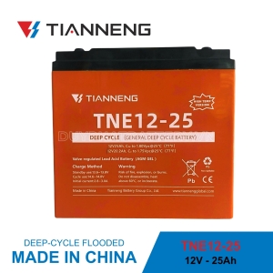 Ắc quy xe điện Thiên Năng TNE12-25 (12V-25Ah) chính hãng