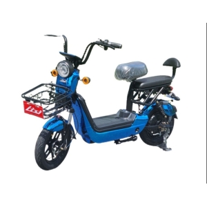 Bình ắc quy xe đạp điện Lixi Trái Nho Pro Max chính hãng