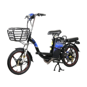 Bình ắc quy xe đạp điện Vnbike V1 18inch chính hãng