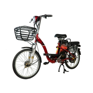 Bình ắc quy xe đạp điện Vnbike V1 22inch chính hãng