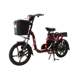 Bình ắc quy xe đạp điện Vnbike V2 chính hãng