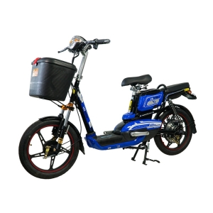 Bình ắc quy xe đạp điện Vnbike V3 chính hãng