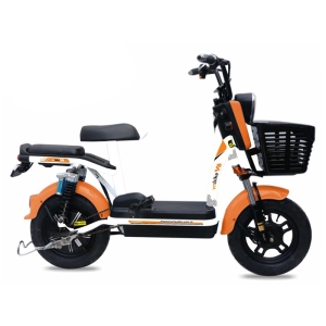 Bình ắc quy xe đạp điện Vnbike V6 chính hãng