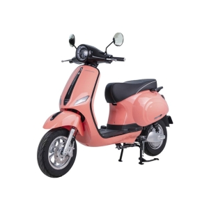 Bình ắc quy xe máy điện Espero Vespa Classic Pro chính hãng