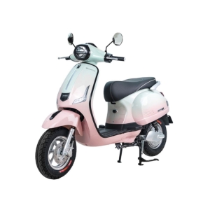 Bình ắc quy xe máy điện Vespa Espero Diamond Pro chính hãng