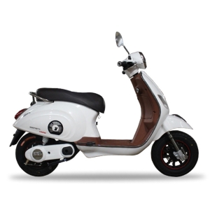 Bình ắc quy xe máy điện Espero Vespa GTS chính hãng