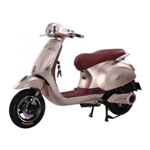 Bình ắc quy xe máy điện Vespas Dibao chính hãng