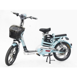 Bình ắc quy xe đạp điện Winner Nijia chính hãng