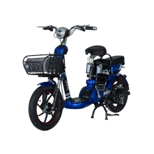 Bình ắc quy xe đạp điện JVC Winter New 16inch chính hãng