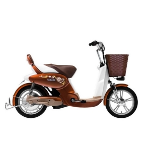 Bình ắc quy xe đạp điện Yamaha Cute Girl F2 chính hãng