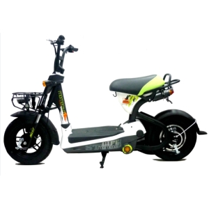 Bình ắc quy xe đạp điện Giant M133 chính hãng