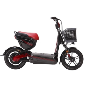 Bình ắc quy xe đạp điện Giant M133 Mini chính hãng