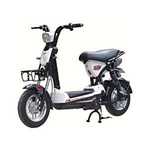 Bình ắc quy xe đạp điện Giant M133 Plus chính hãng