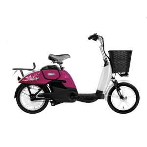 Bình ắc quy xe đạp điện Yamaha Cute Girl chính hãng